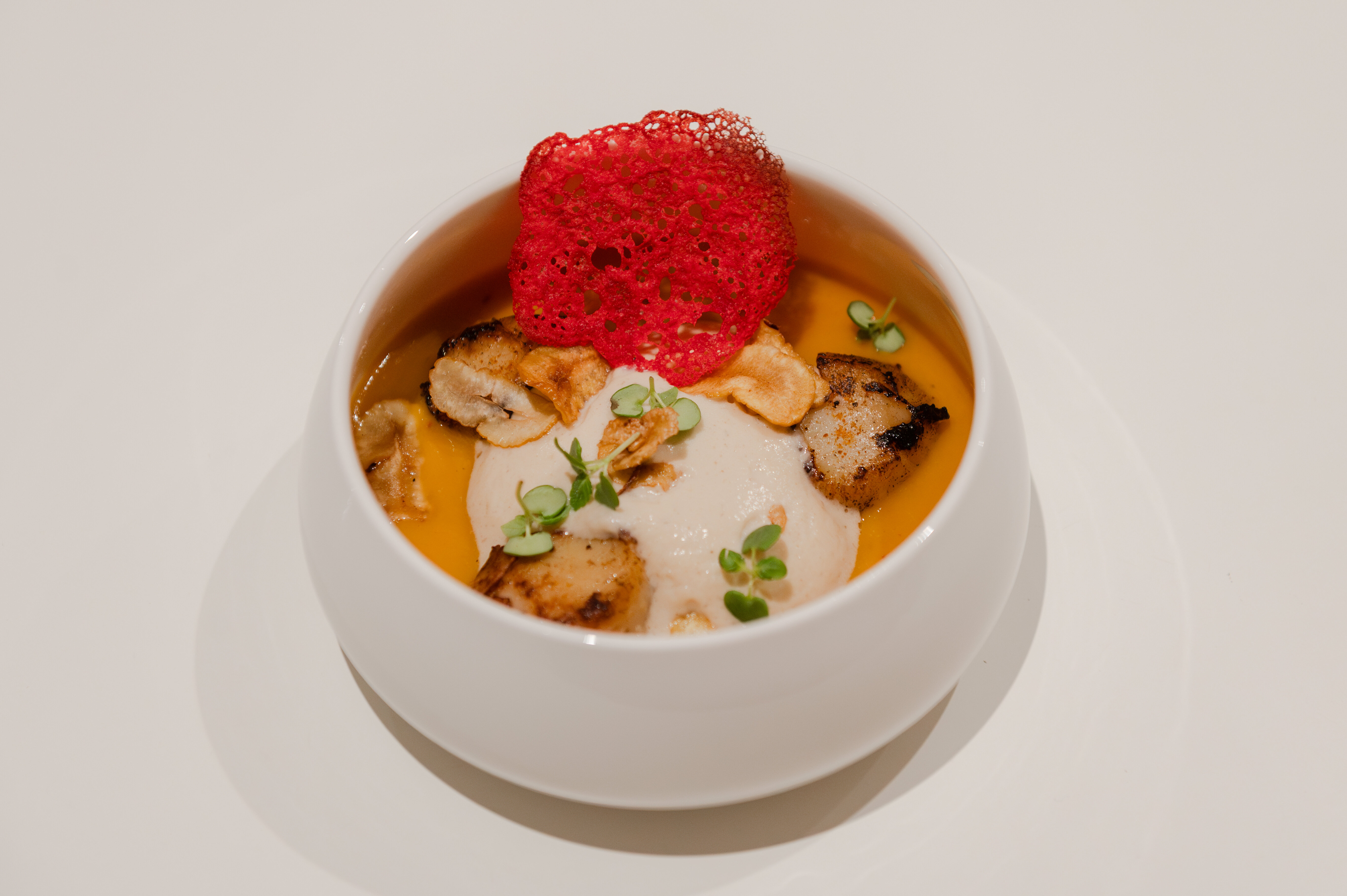 image de présentation