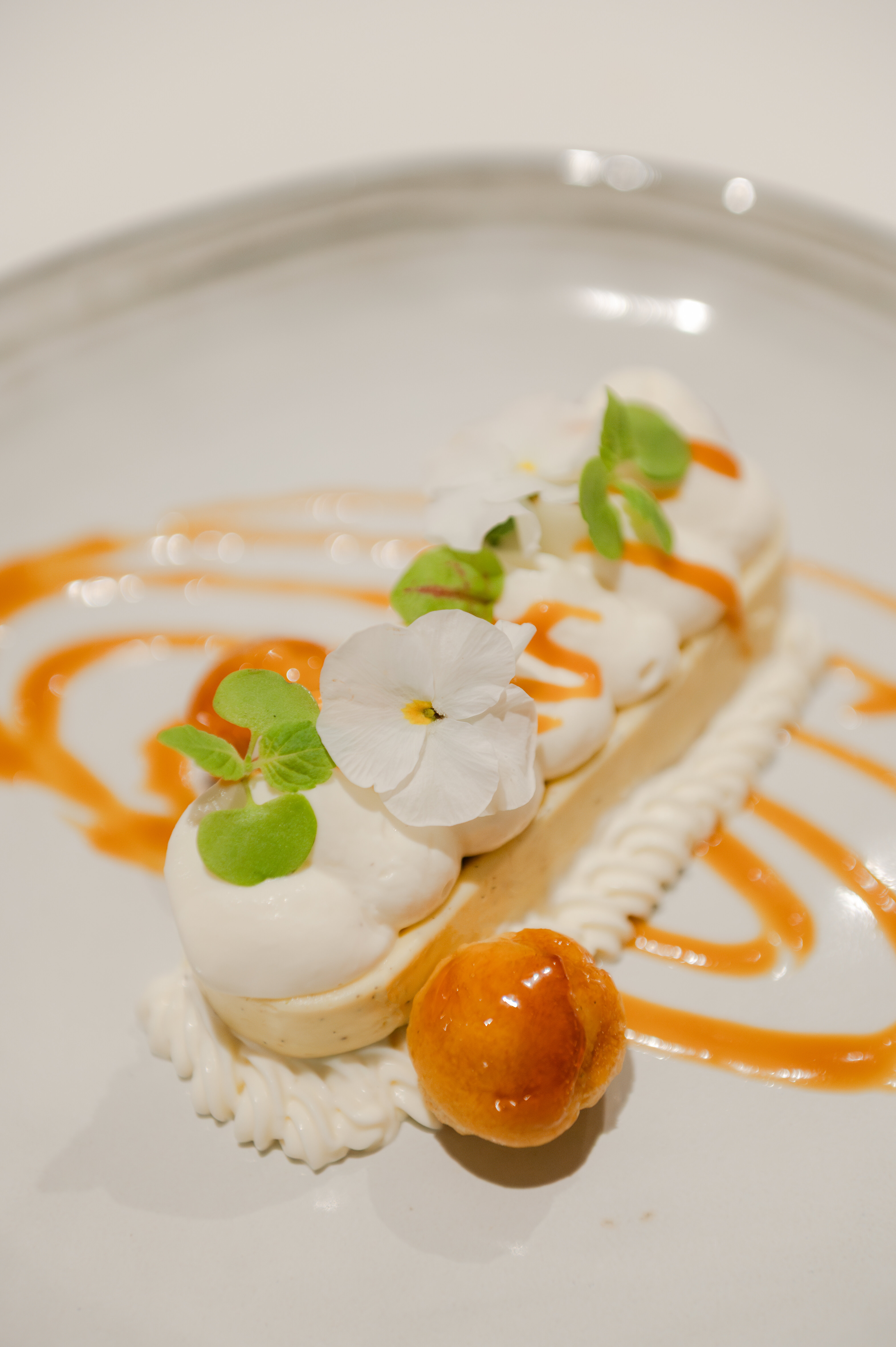 image de présentation